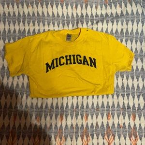 Blue and gold Michigan t shirt